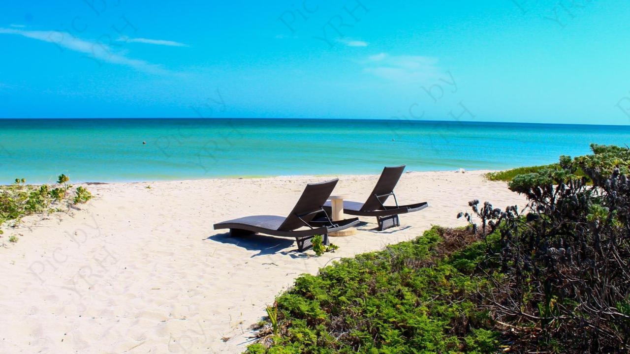 Delos Luxury Villa Uaymitun Ngoại thất bức ảnh
